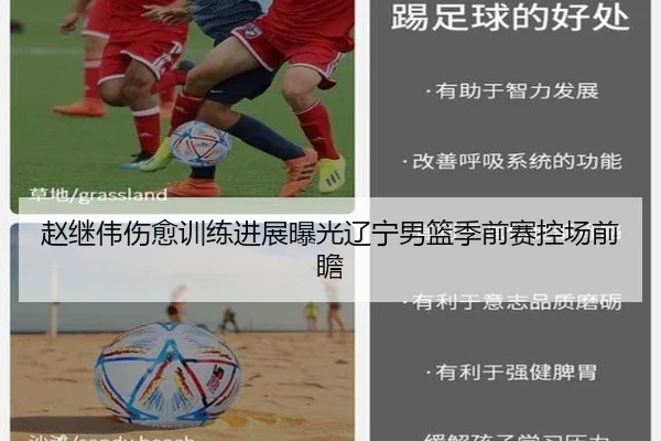 赵继伟伤愈训练进展曝光辽宁男篮季前赛控场前瞻 - LEYU