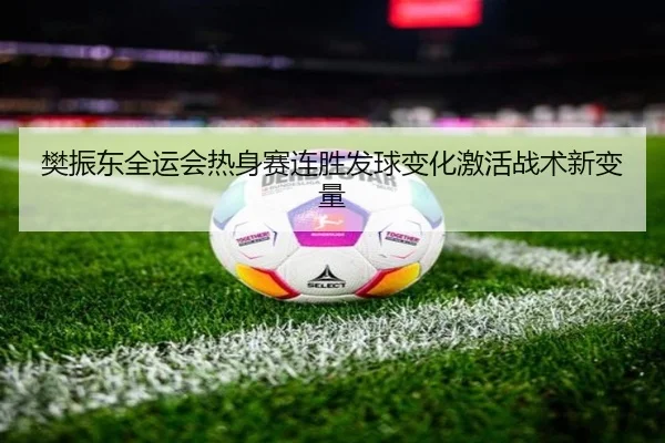 樊振东全运会热身赛连胜发球变化激活战术新变量 - LEYU